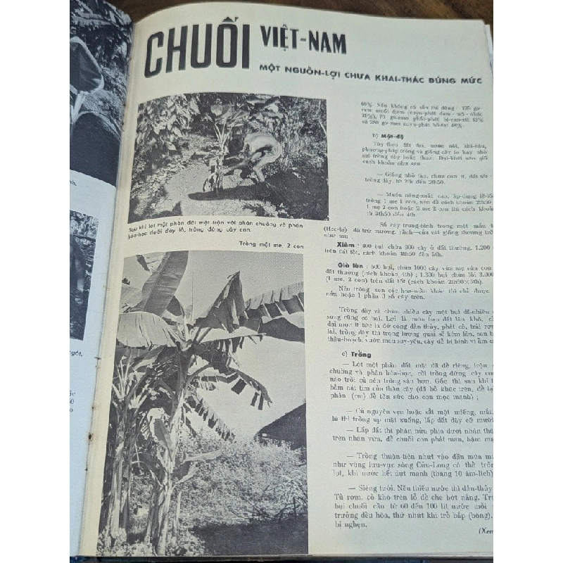 Tạp chí hương quê ( nguyệt san ) - nhiều tác giả 1006761