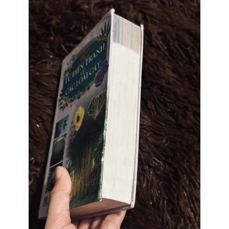 Từ điển tranh về các loài cây 932519