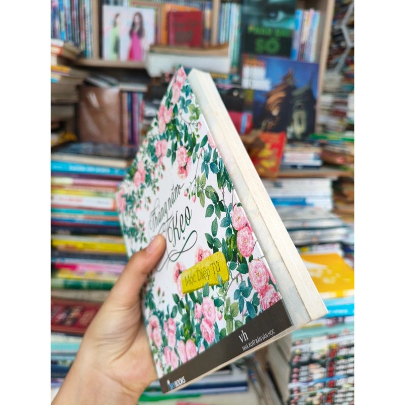 Tháng năm của kẹo 🌱 518039