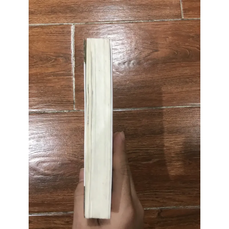 Nghệ thuật Việt Nam - Tủ sách nghệ thuật (8) 709168