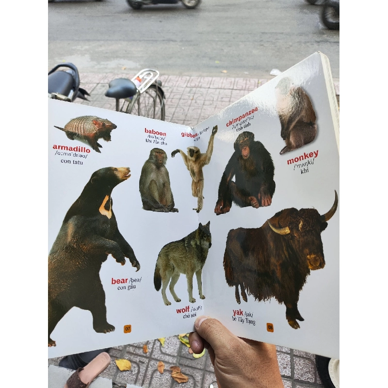 Từ Điển Bằng Tranh Thế Giới Động Vật - Phan Minh Đạo 1009419