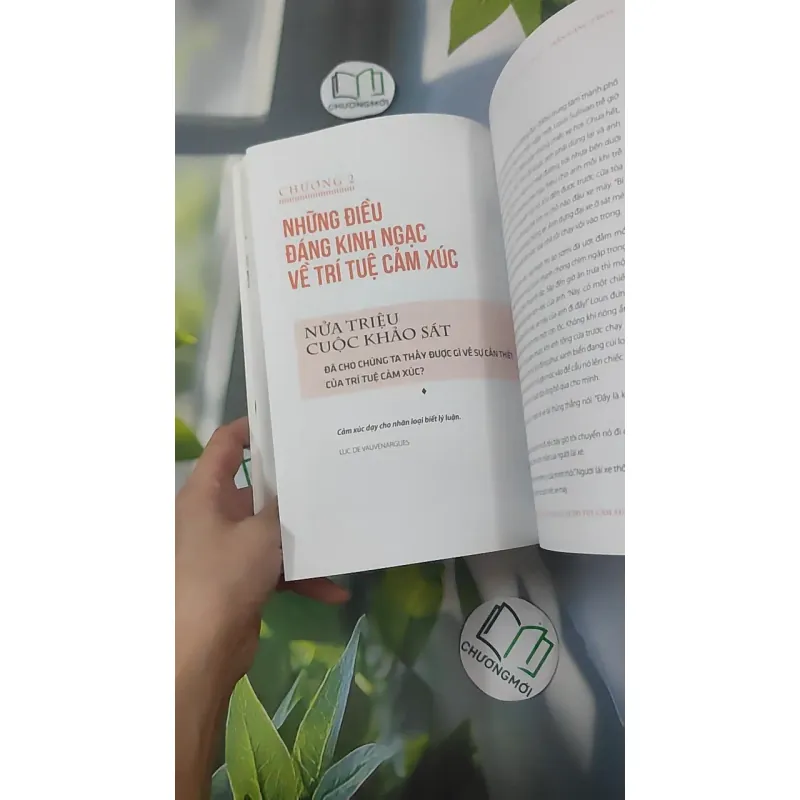 Thông Minh Cảm Xúc - Travis Bradberry & Jean Greaves 1018949