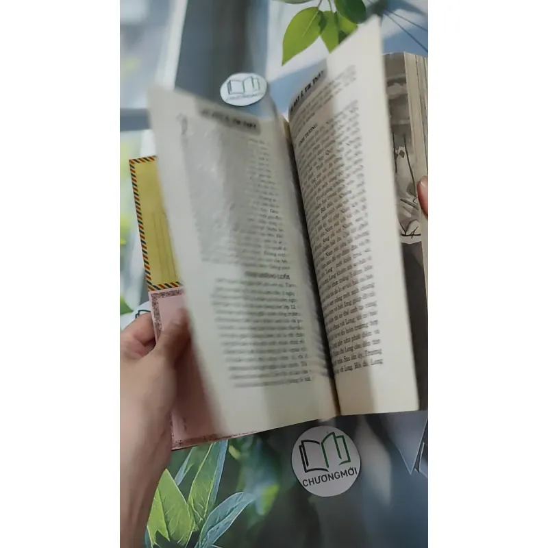 Tìm Thấy & Lại Mất 1018877