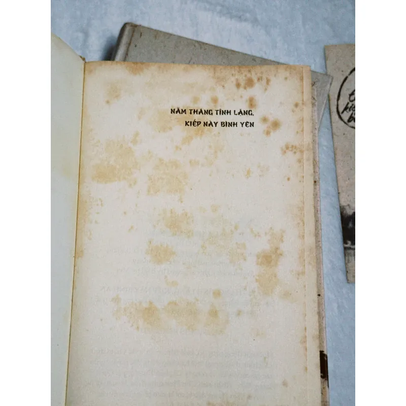 Combo 2c Bạch Lạc Mai (bìa cứng)  701865