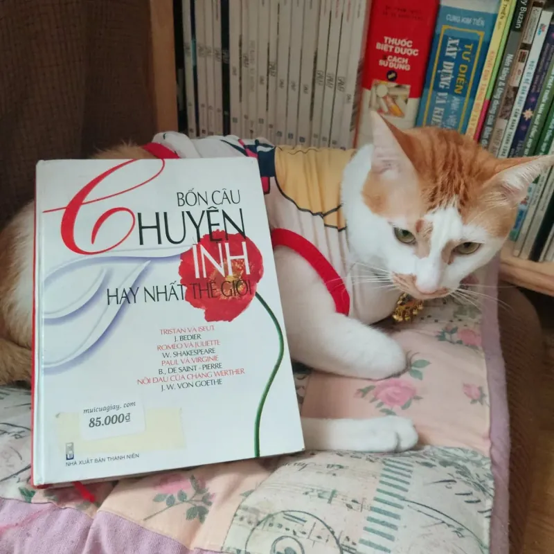 Bốn câu chuyện tình hay nhất thế giới 925708