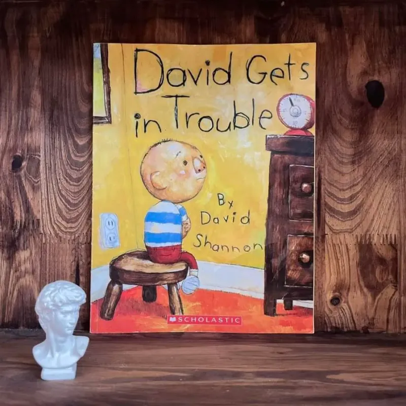 David Gets in Trouble 974739