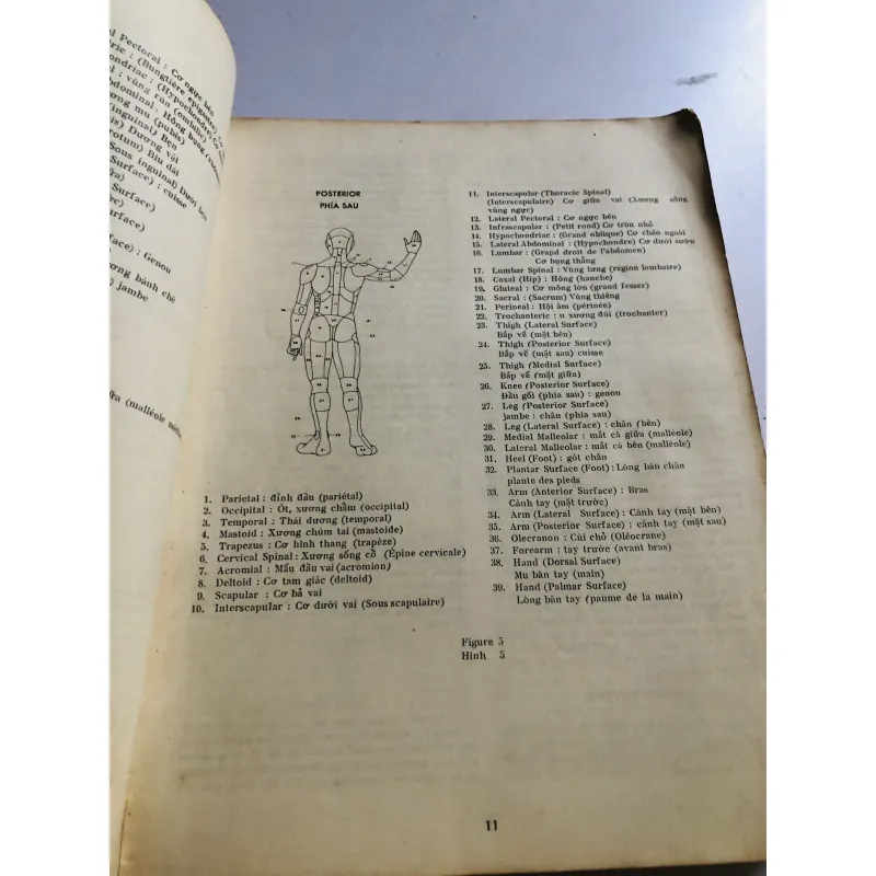 CẨM NANG PHÒNG MỔ (SONG NGỮ ANH – VIỆT) 755184