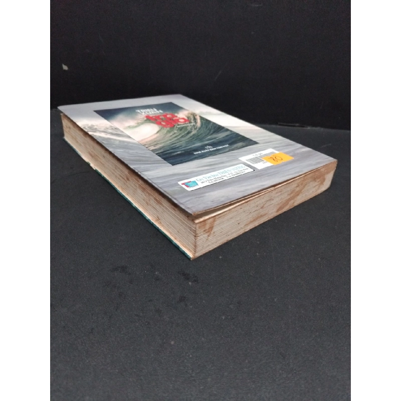 Trả giá mới 70% bẩn bìa, ố vàng 2004 HCM2110 Triệu Xuân VĂN HỌC 917824