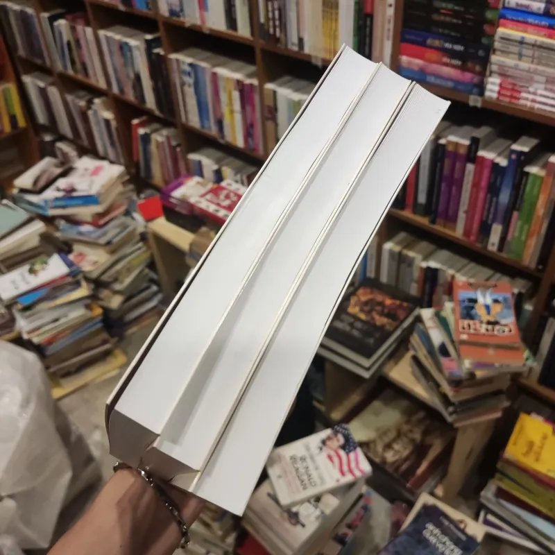 Nắng và hoa - Cao Huy Thuần  999999