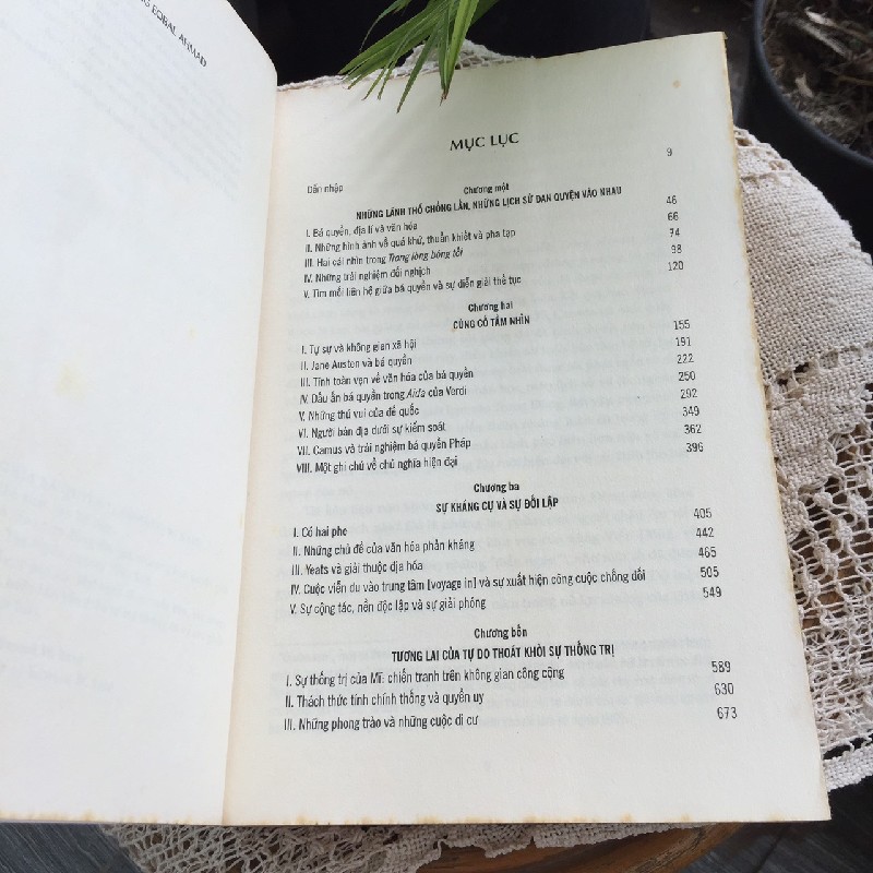 Văn hóa và chủ nghĩa bá quyền 10245