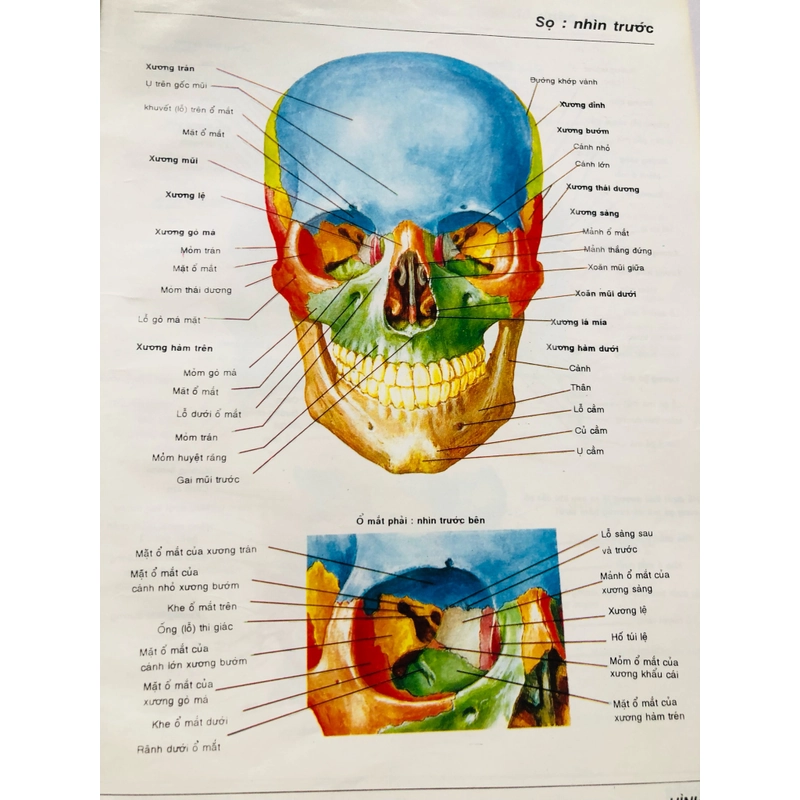 1. ATLAS GIẢI PHẪU NGƯỜI 470948