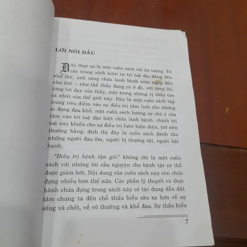 Lama Zopa Rinpoche - ĐIỀU TRỊ BỆNH TẬN GỐC năng lực của TÂM BI MẪN 675524