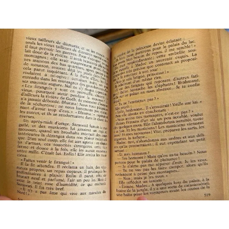 Le Nanab - Irène Frain 674413