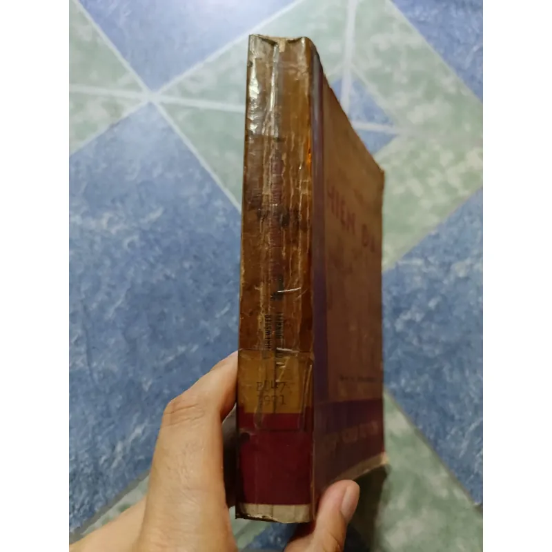 Tiểu thuyết hiện đại - Giáo sư đại học Columbia 998426