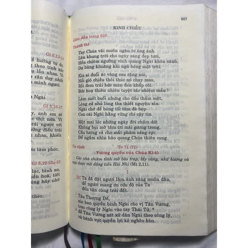 Các giờ kinh Phụng vụ - 2010 732455