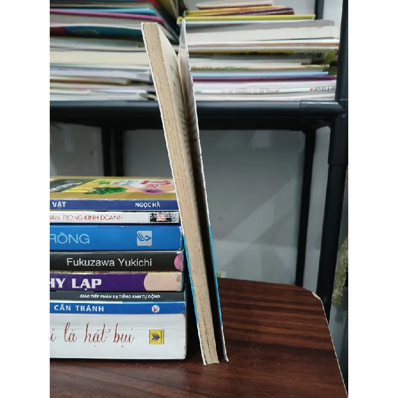 Học viện bóng đá – Bách Lê, Bách Diệp 576157