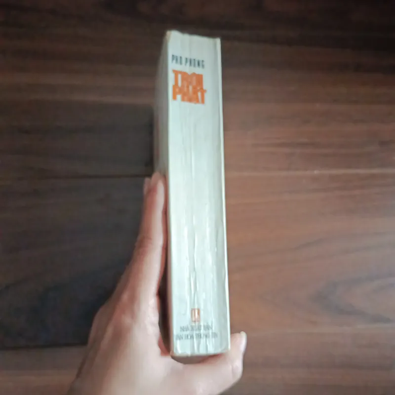 Trời phạt - phó phóng 933989