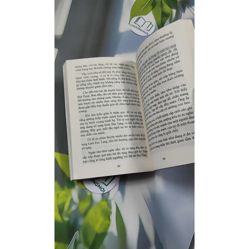 Bệnh Viện Trả Về - Phật Pháp Cứu Sống - Quang Tử 776131