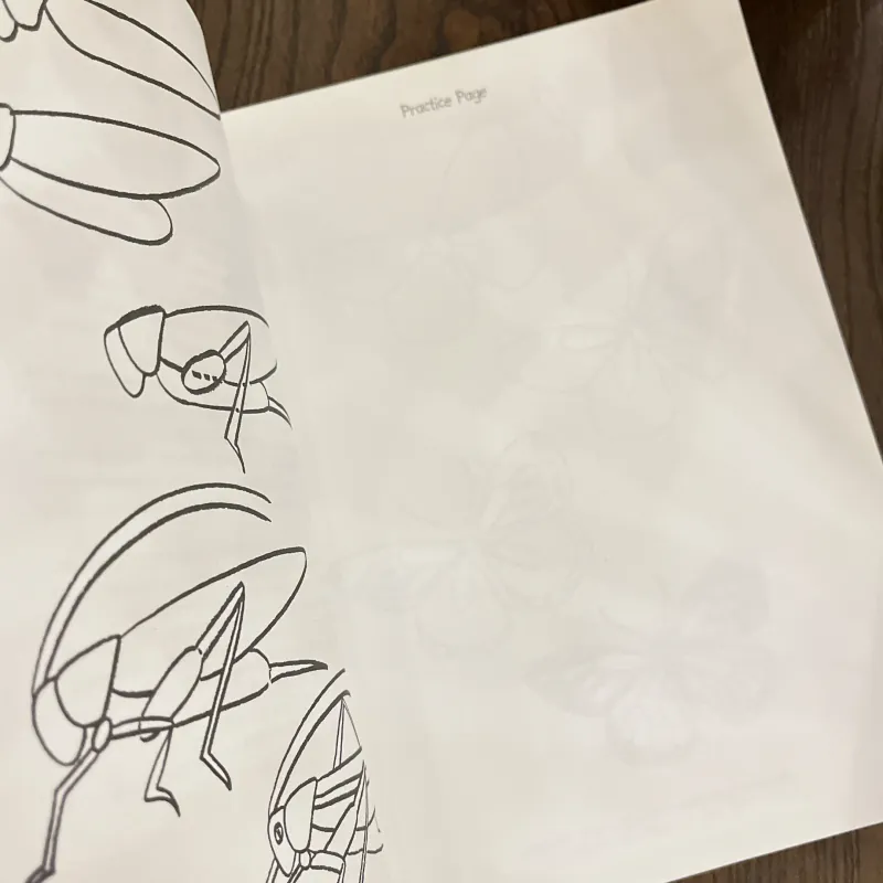 ✨𝑯𝒐𝒘 𝒕𝒐 𝑫𝒓𝒂𝒘 𝑰𝒏𝒔𝒆𝒄𝒕𝒔: 𝑺𝒕𝒆𝒑-𝒃𝒚-𝑺𝒕𝒆𝒑 𝑫𝒓𝒂𝒘𝒊𝒏𝒈𝒔!✨ 712564