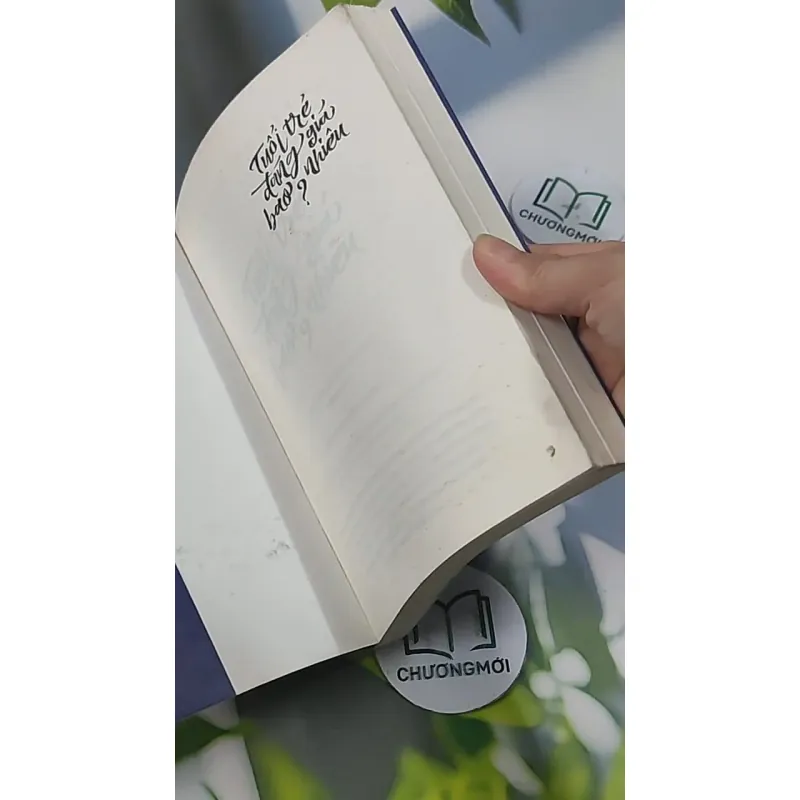 Tuổi Trẻ Đáng Giá Bao Nhiêu? 705622