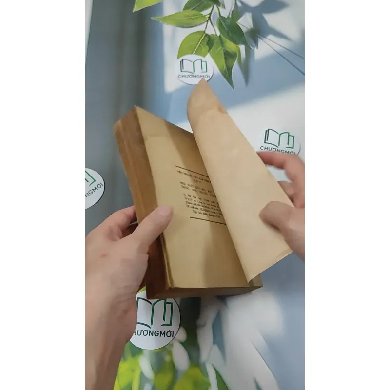 [MIỄN PHÍ BỌC SÁCH] [XƯA] Tiểu Thuyết Việt Nam Hiện Đại 2 (1978) - Phan Cự Đệ 776017