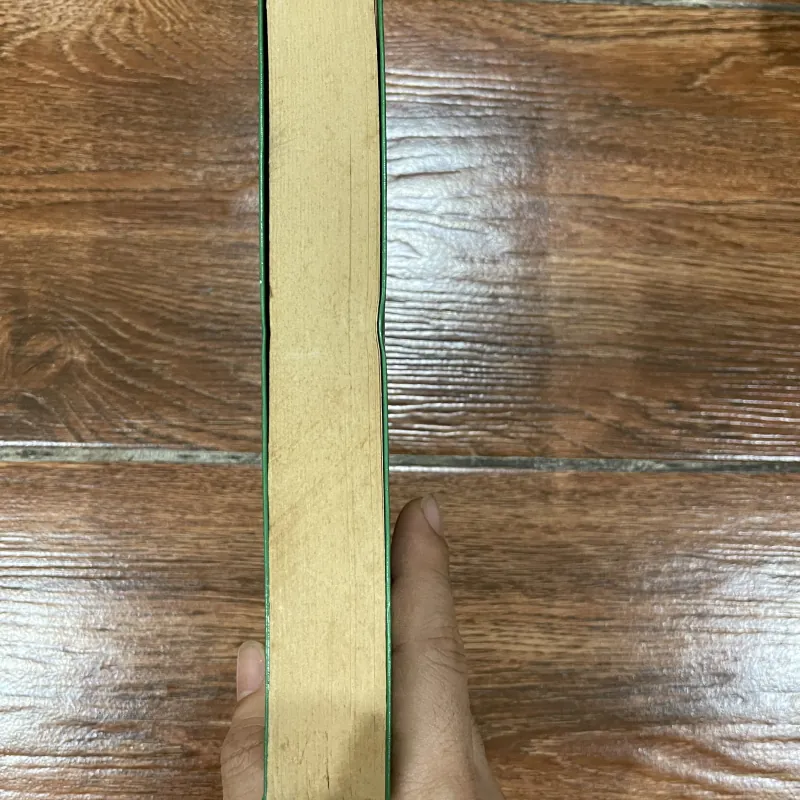 VĂN MINH LẠC VIỆT - Nguyễn Duy Hinh (9) 1020332