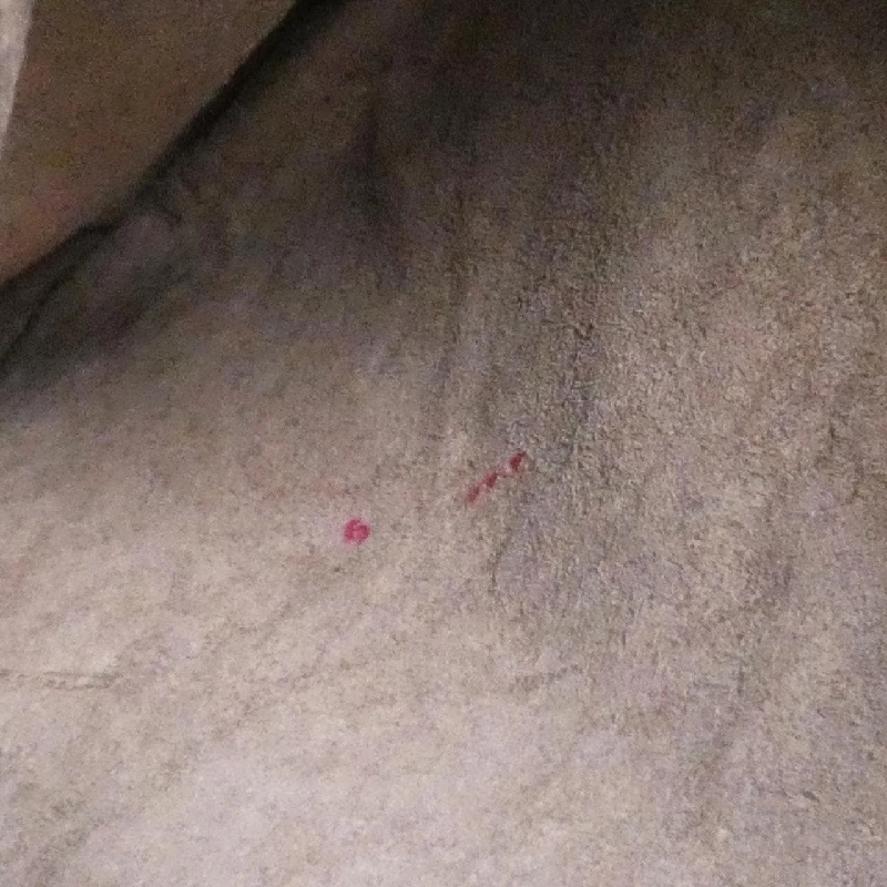 Bottega Veneta 115653 V0016 Túi đeo vai - Hàng hiệu Chính hãng 768486