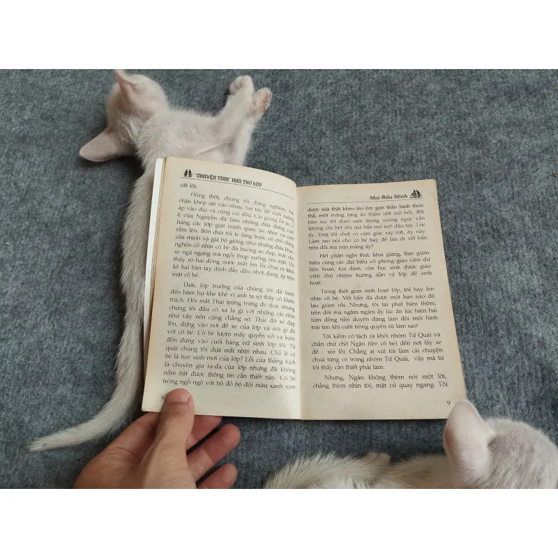 "CHUYỆN TÌNH" NHÀ THƠ LỚP - MAI BỬU MINH 567793
