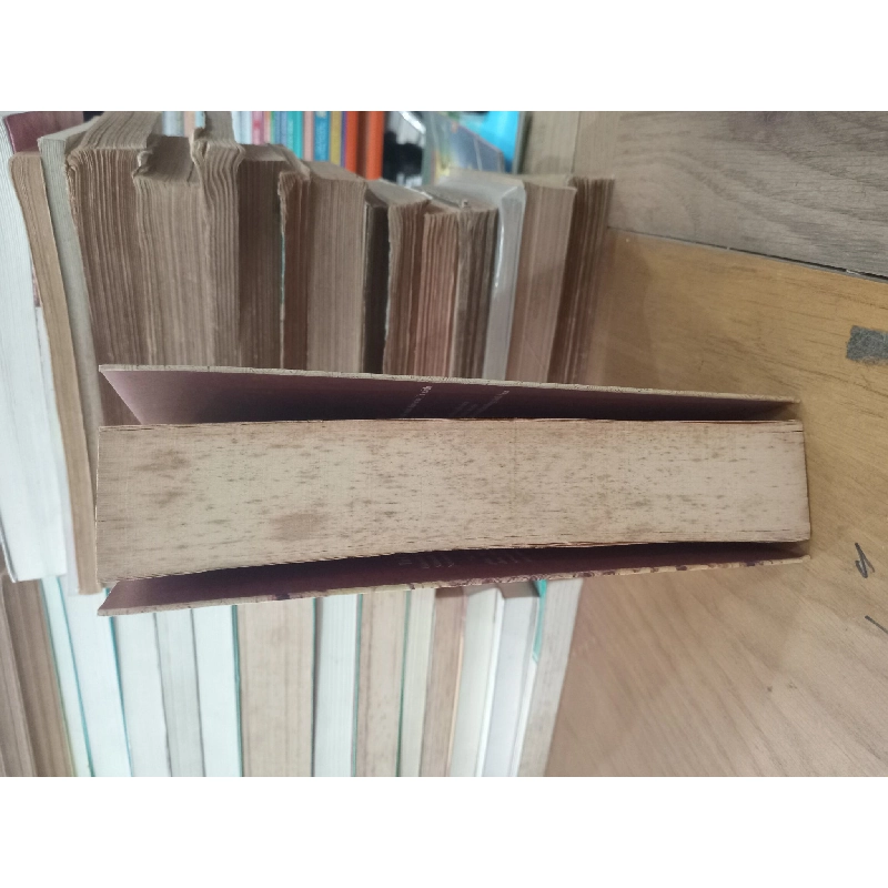 Trở về năm 1981 - Tú Cẩm 994460