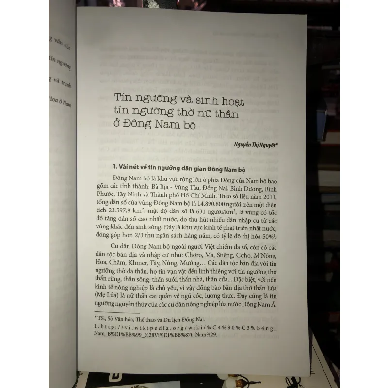 Văn hoá dân gian Nam Bộ - Tín ngưỡng dân gian 1003436