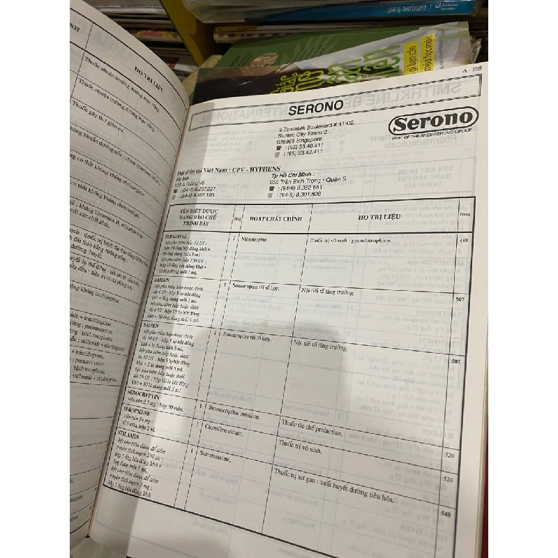 Videl Việt Nam 1004743