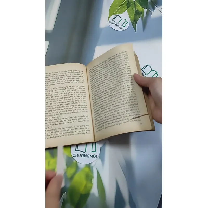 [XƯA] Phong Tục Việt Nam (Quan - Hôn - Tang - Tế) (1999) (Phong Tục Việt Nam (Quan - Hôn - Tang - Tế)) 776158