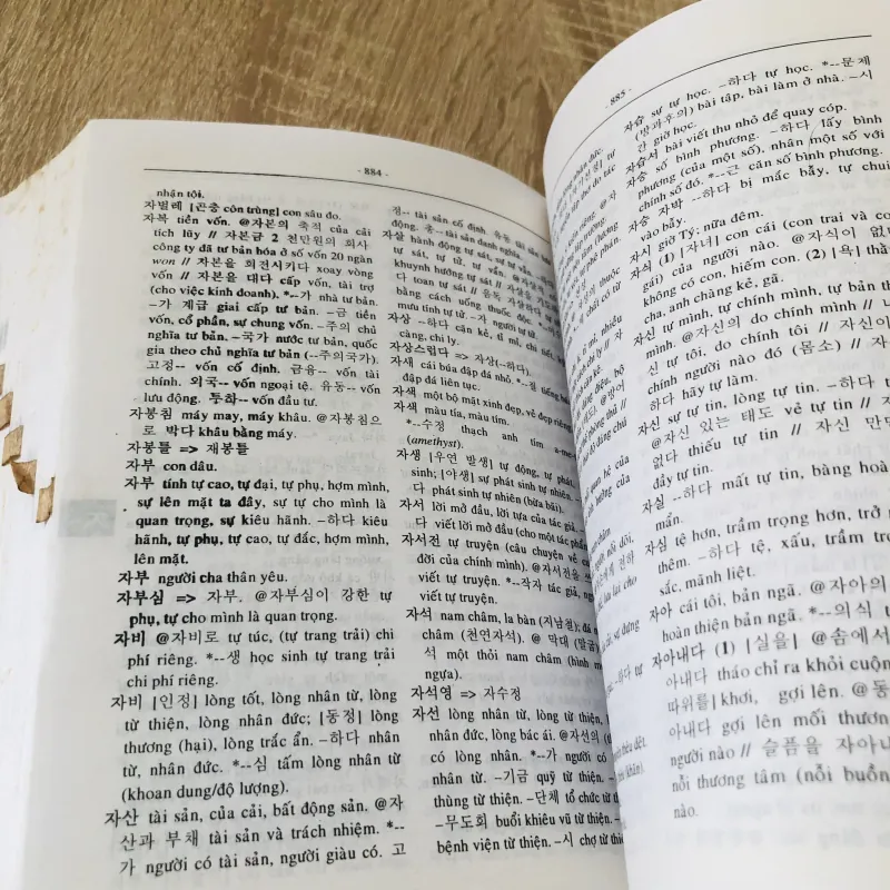 TỪ ĐIỂN HÀN - VIỆT  1000527