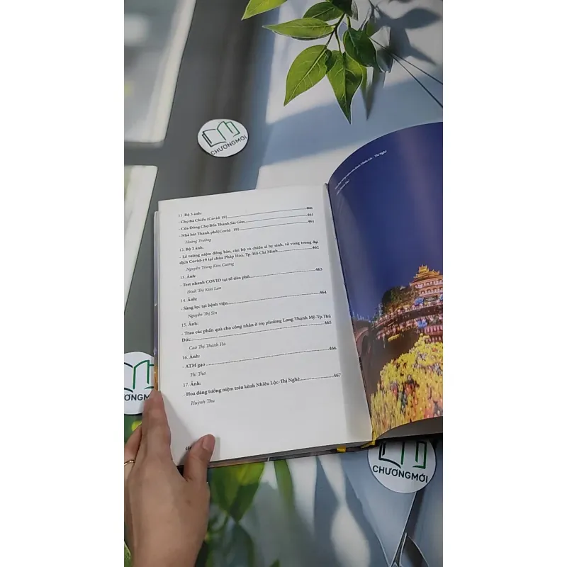 [MIỄN PHÍ BỌC SÁCH] Cây Kèn Và Chiếc Khẩu Trang 990370