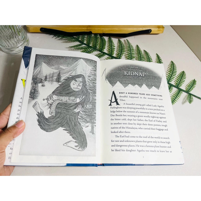 [Sách 2hand từ US] Like new 90% - THE ABOMINABLES by Eva Ibbotson 477961