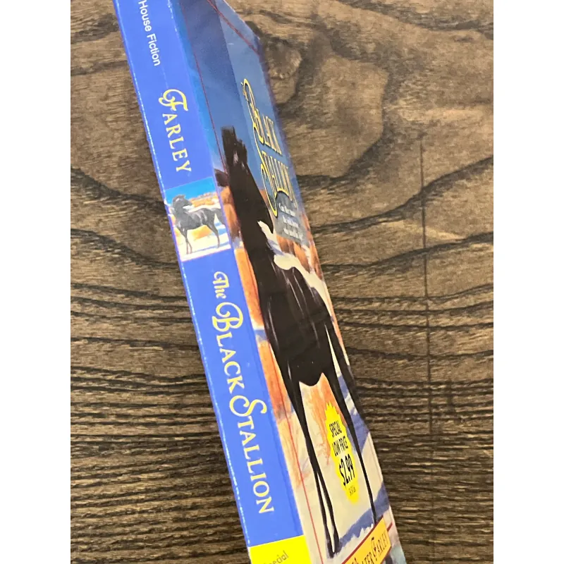 The Black Stallion 972887