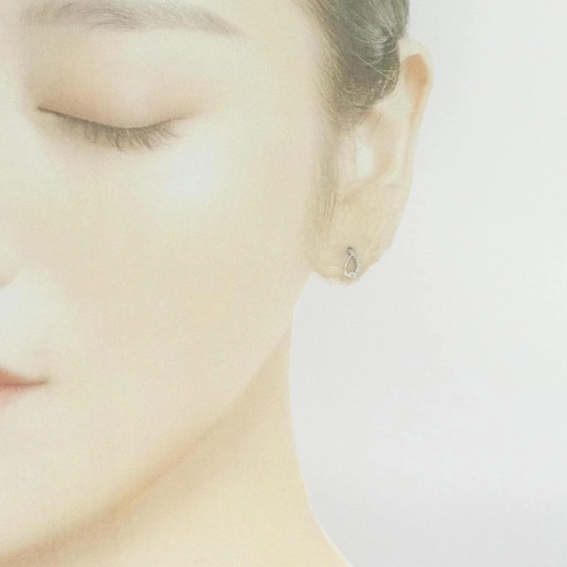 PT/PT900 Bông tai kim cương 0.10CT - Hàng hiệu Chính hãng 876033