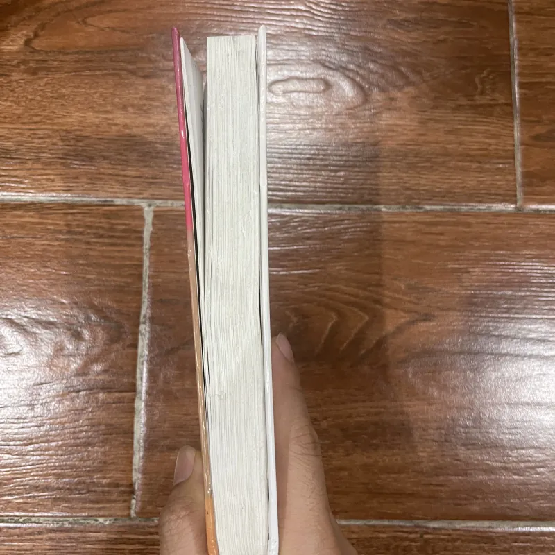 Văn Hoá Nõ Nường - Dương Đình Minh Sơn  (10) 1000745