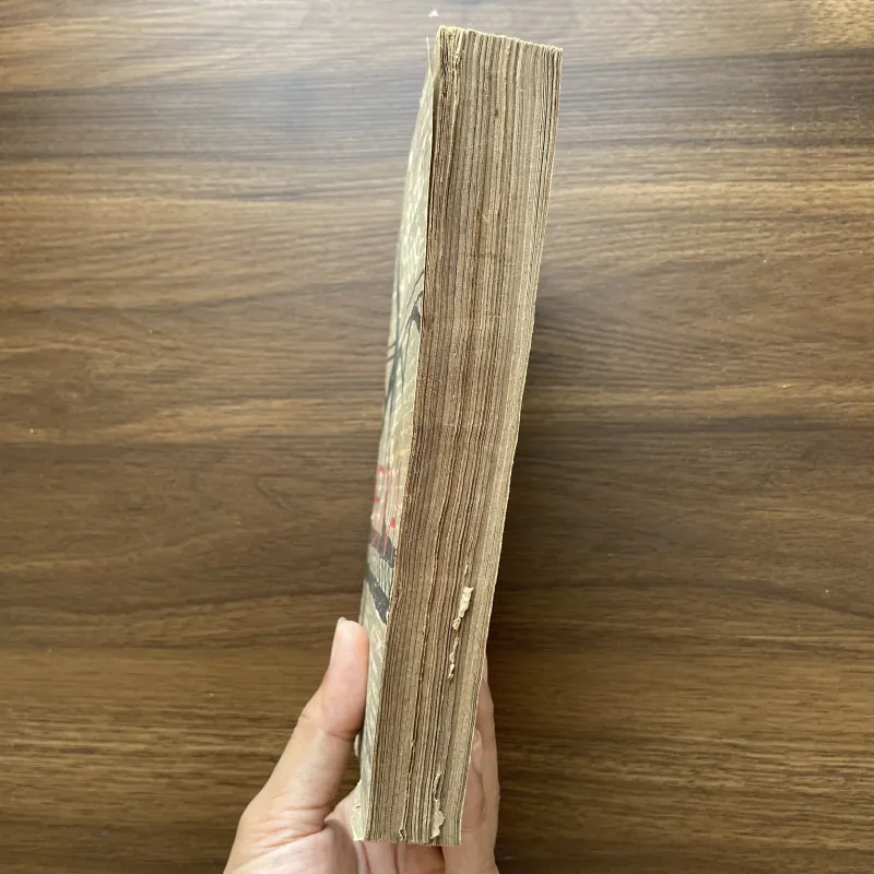 Chiếc cầu trên sông Đơrina - Ivô An Đrich 989851