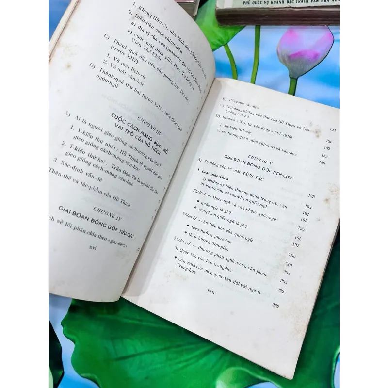 HỒ THÍCH VÀ CUỘC VẬN ĐỘNG TÂN VĂN HỌC 761716