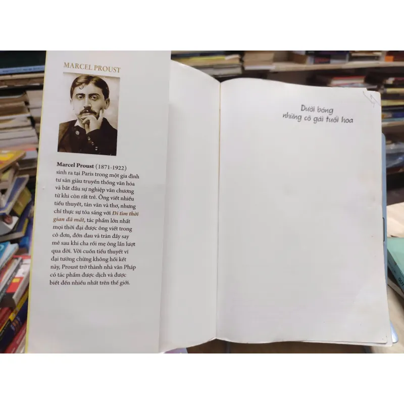 sách: Dưới bóng những cô gái tuổi hoa - Marcel Proust (A1) 566881