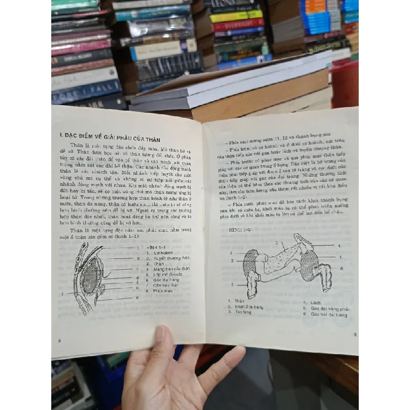 Bài giảng bệnh học niệu khoa - GS.BS. Trần Văn Sáng 702663