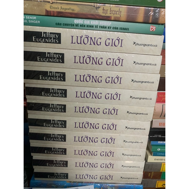 LƯỠNG GIỚI - JEFFREY EUGENIDES 185447