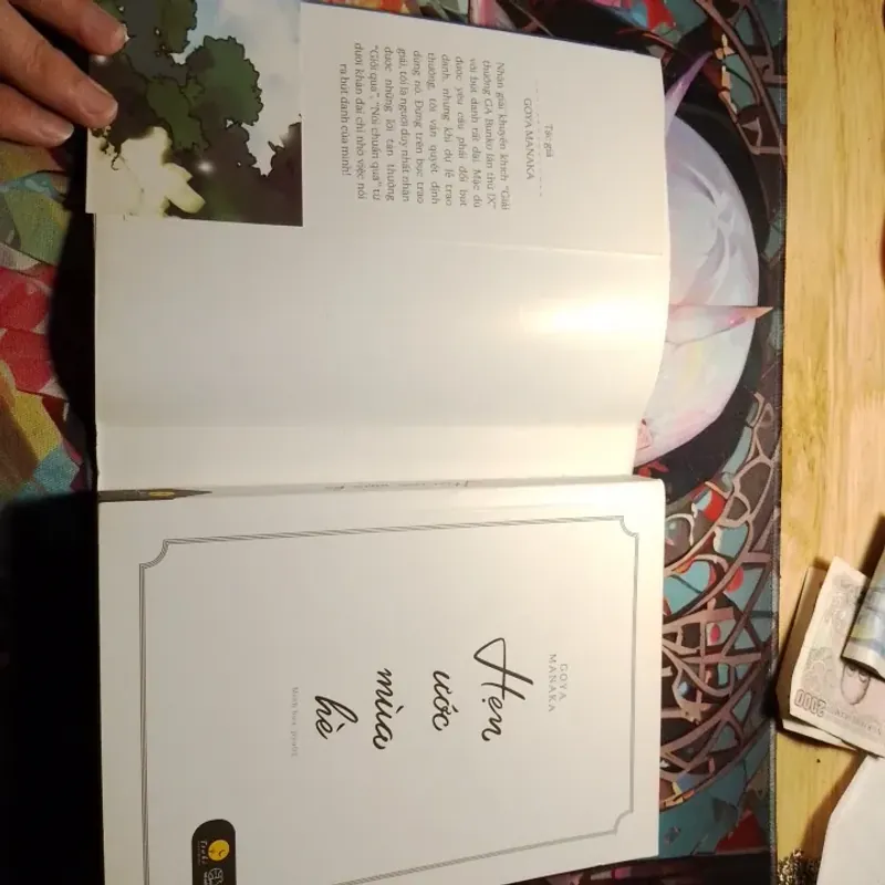 HẸN ƯỚC MÙA HÈ LIGHT NOVEL 762042