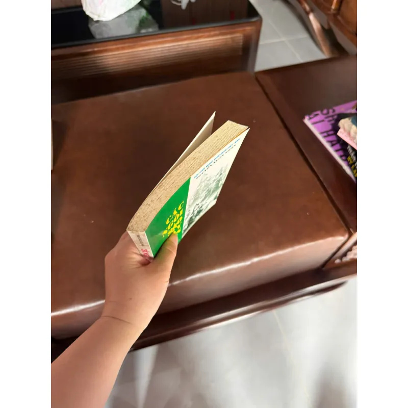 CÁC NGÔI SAO TÂY SƠN (NGUYỄN XUÂN NHÂN)- K5 1031195