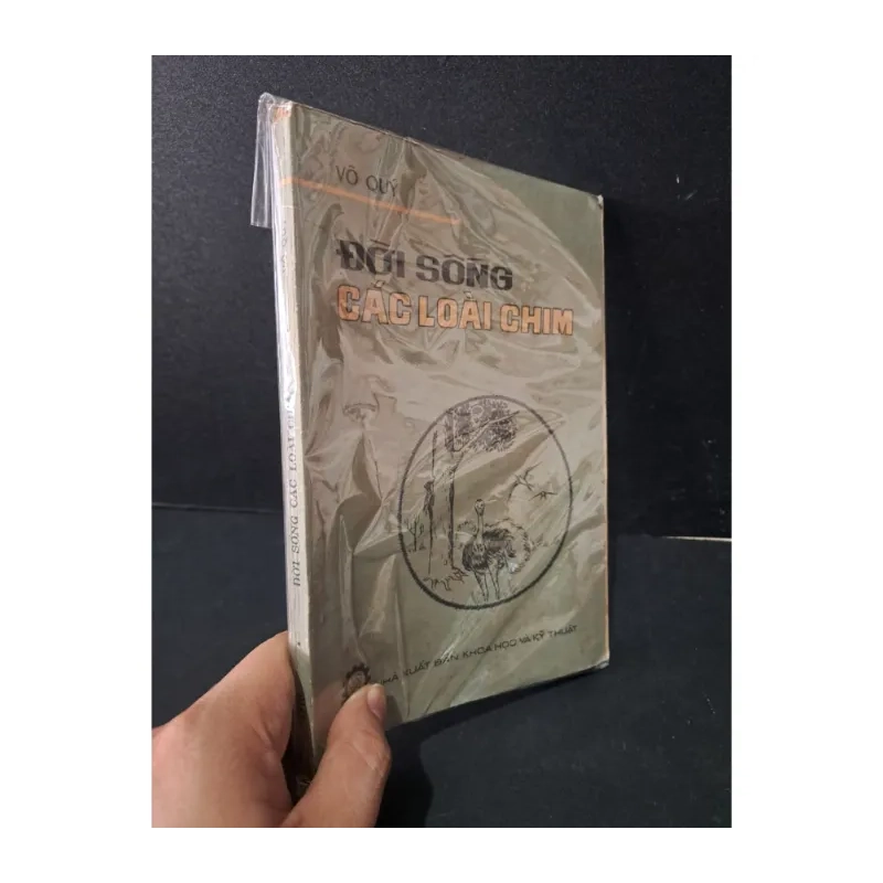 Đời sống các loài chim 981754