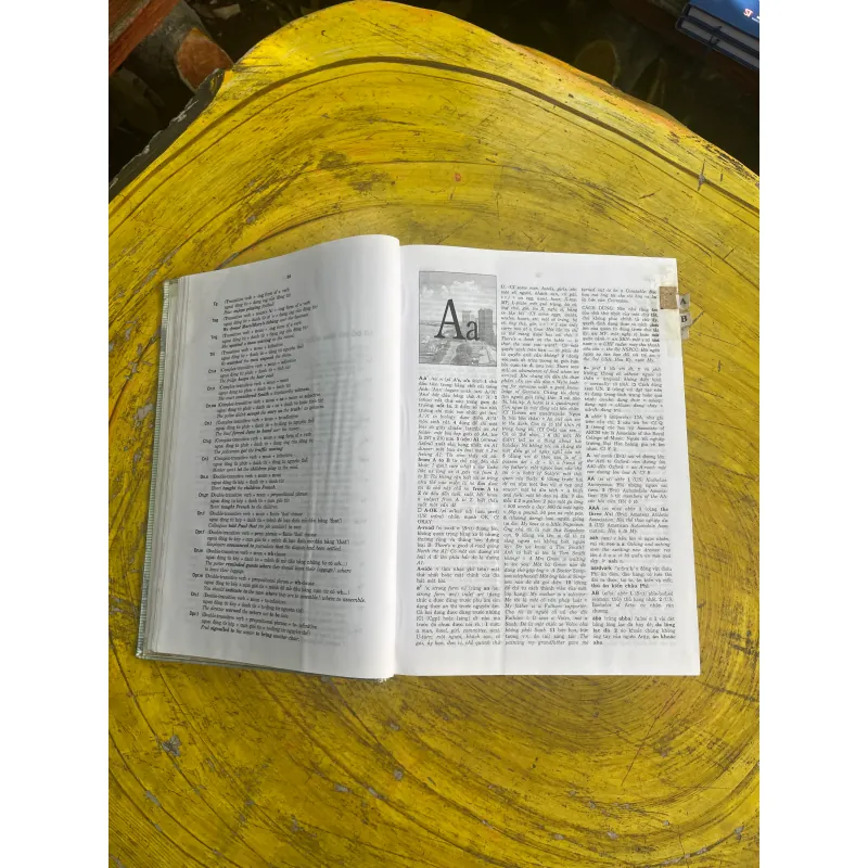 ĐẠI TỪ ĐIỂN ANH - VIỆT- ENGLISH - VIETNAMESE DICTIONARY 730613