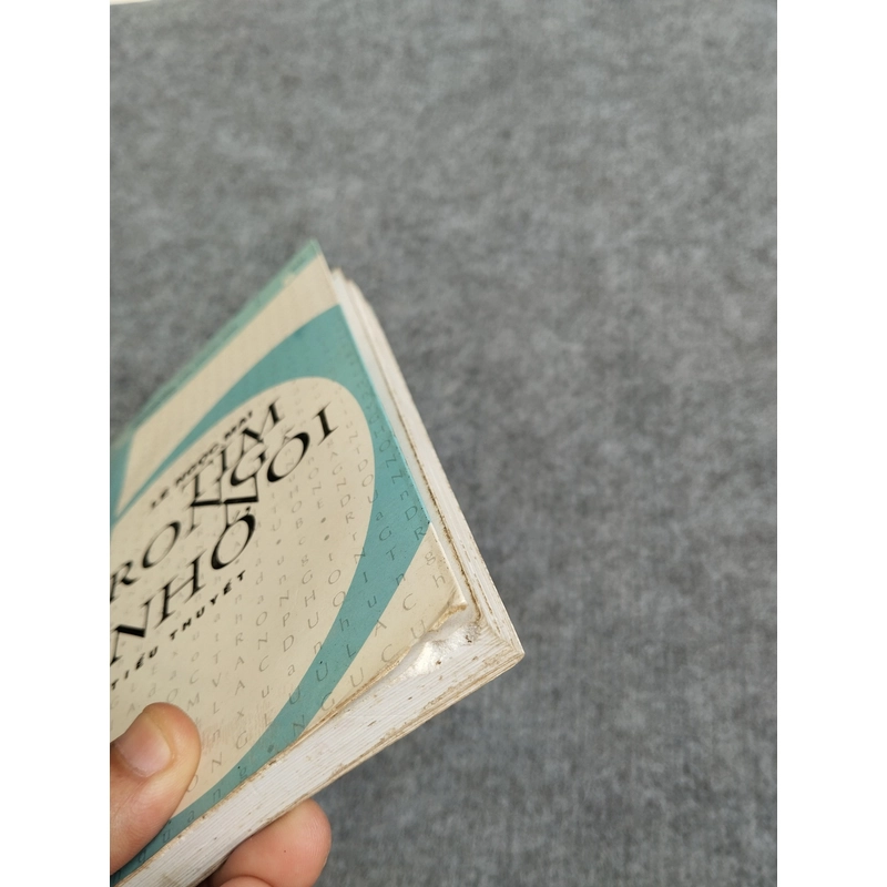 TÌM TRONG NỖI NHỚ - LÊ NGỌC MAI 538125