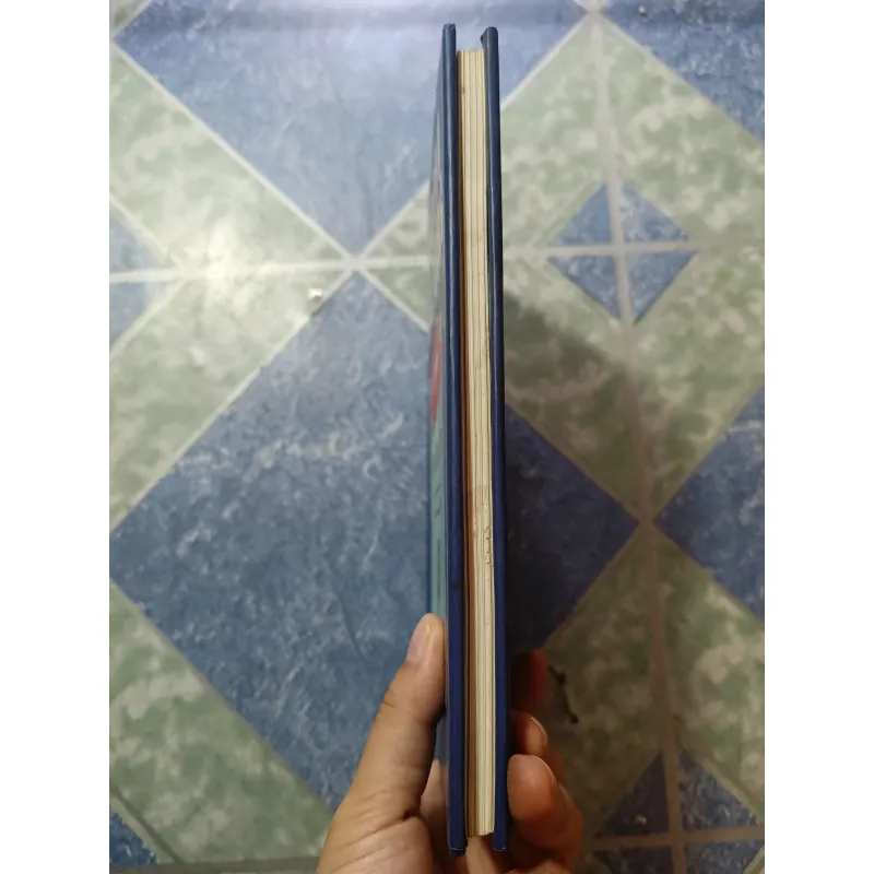 Trịnh Công Sơn và cây đàn Lya của hoàng tử bé - Hoàng Phủ Ngọc Tường 975146