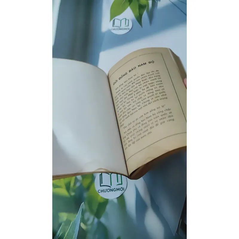 [MIỄN PHÍ BỌC SÁCH] [XƯA] [HIẾM] Cách Mạng Mùa Thu Và Giang Sơn Tuổi Trẻ (1992) 928583